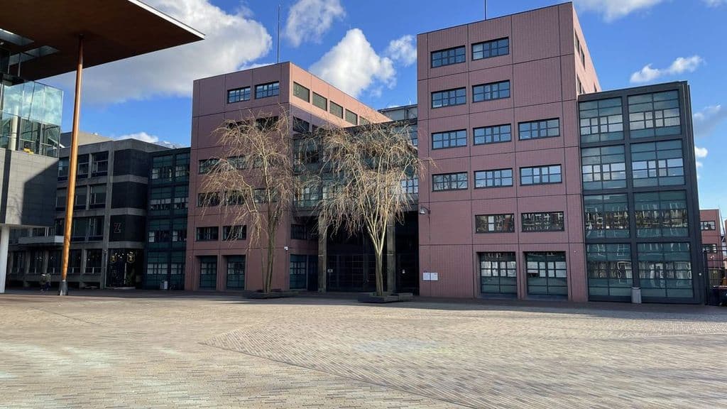 Hollanda'da 13 yaşındaki çocuk terör planından mahkum oldu