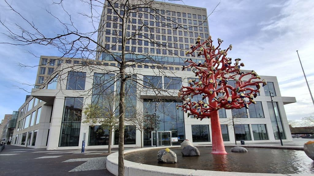 Hollanda'da Türk futbolcu sert müdahale nedeniyle mahkum oldu