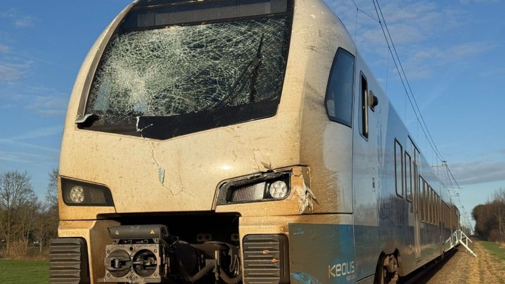 Hollanda'da tren ağaca çarparak durdu, 13 yolcu yaralanmadan kurtuldu