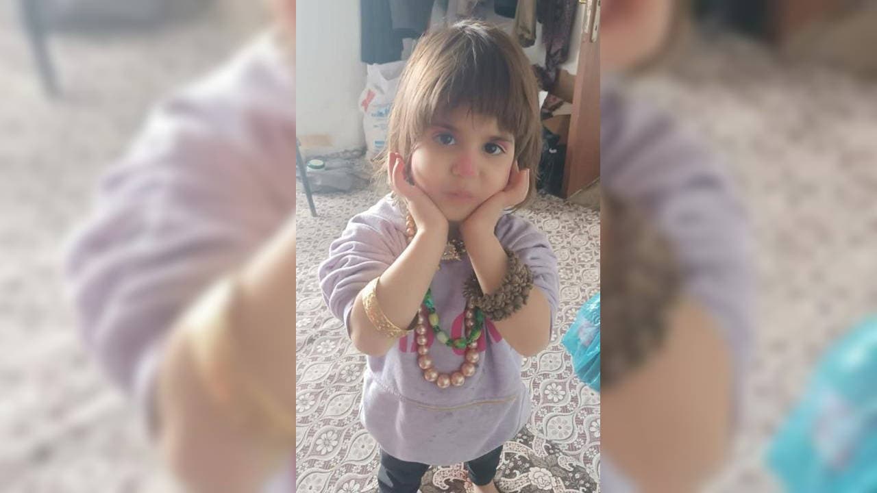 Bitlis'te 4 yaşındaki Rabia Ilgaz kayboldu, AFAD arama çalışması başlattı