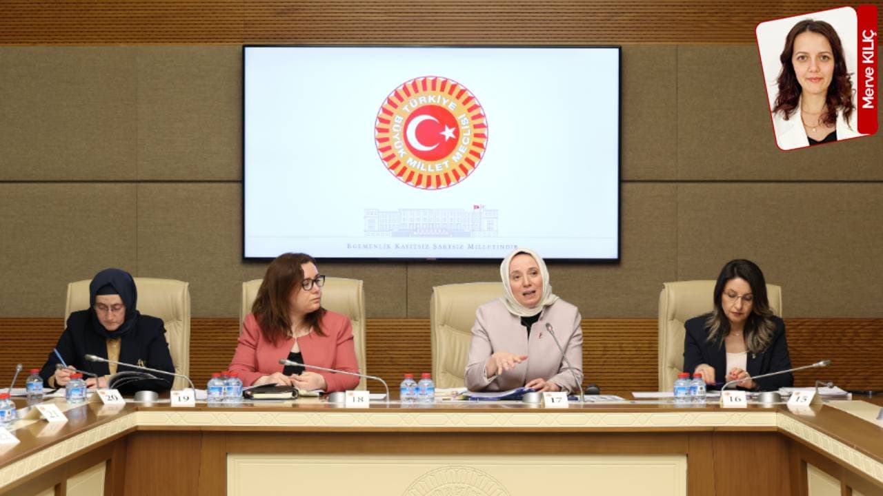 Türkiye'de kadın cinayetlerinde kullanılan silahların yüzde 84'ü ruhsatsız