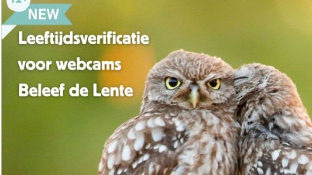 Hollanda'da 1 Nisan şakaları: Kuş çiftleşmelerine yaş sınırı