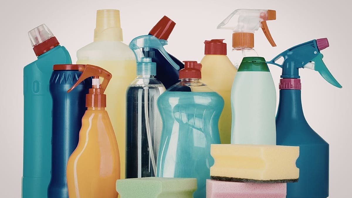 Ev ürünlerindeki toksin 2 milyon erken doğuma neden oldu