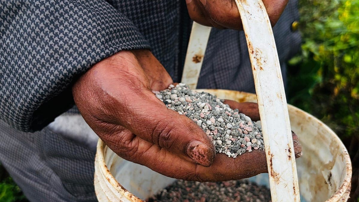 Orta Doğu gerilimi küresel gıda fiyatlarını ikinci ayda da yükseltti